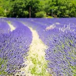 Domaine Les Sources De Hotel Dieulefit
