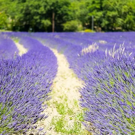 Domaine Les Sources De Hotel Dieulefit