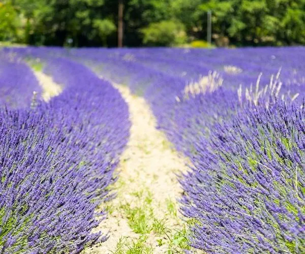 Domaine Les Sources De Hotel Dieulefit